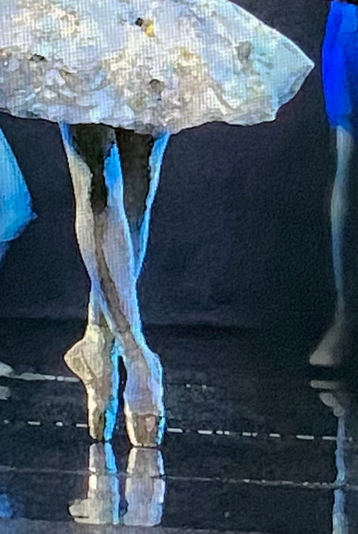 detail of ballerina legs and shoes