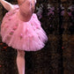 detail of backdrop and pink costume