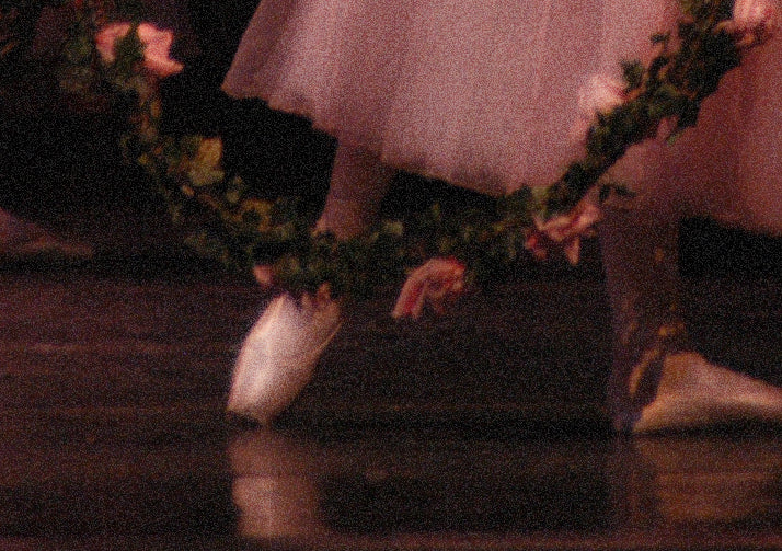 detail section of the painting showing ballerina feet and the pink rose wreathe