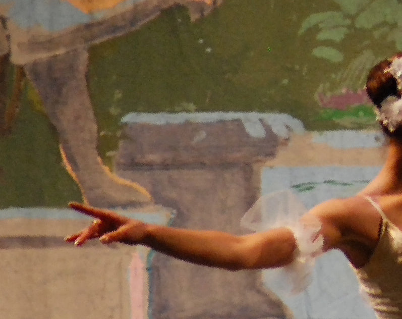 detail section of the ballerina's arm