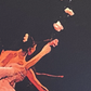 detail section of painting of ballerinas with dark background