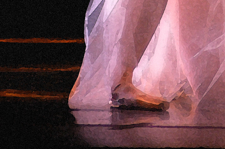 detail of the ballet shoe