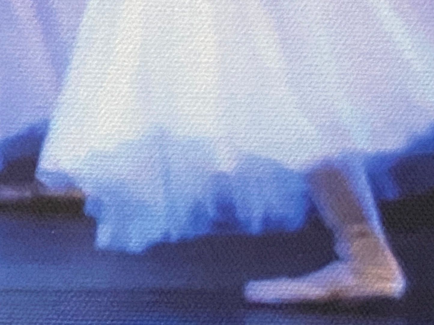 a detail section showing a skirt and ballet shoe