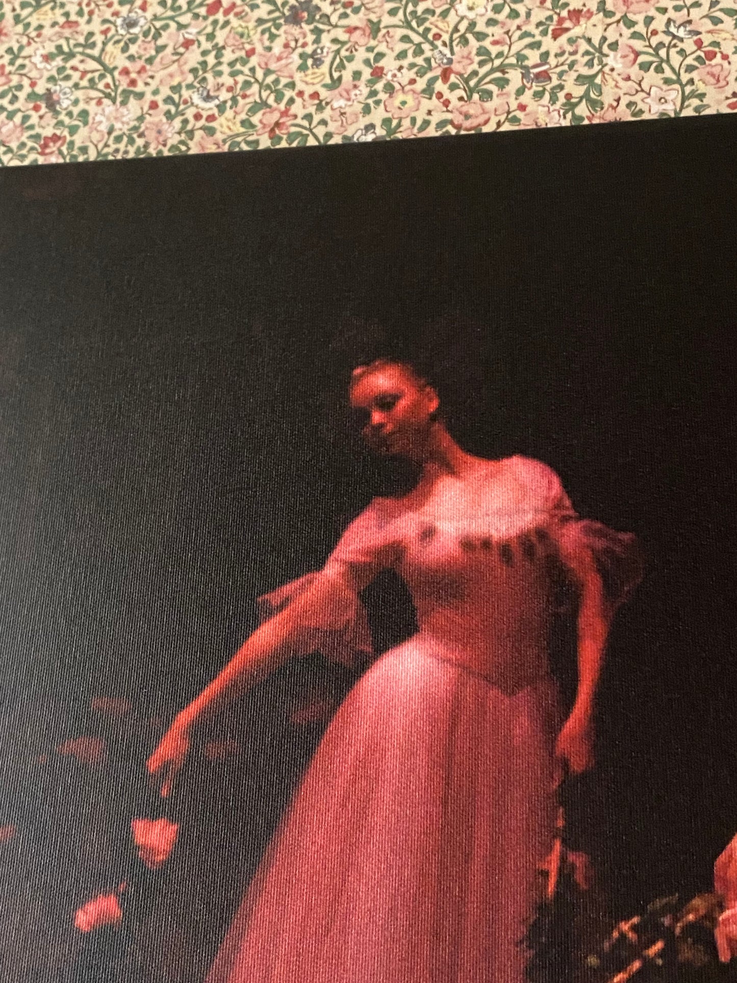 a detail section of one ballerina in pink on a dark backdrop 